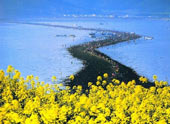 3 'mysterious roads' under the sea