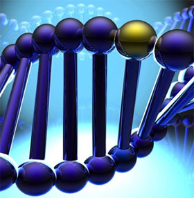 3 scientific discoveries about people make you surprised