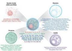 3 scientific discoveries in 1 week of March 2011