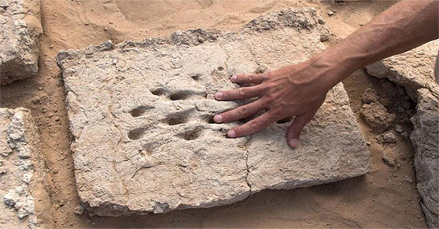 3,000-year fingerprints reveal the construction of ancient people
