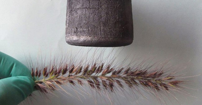 35 interesting pictures startle you