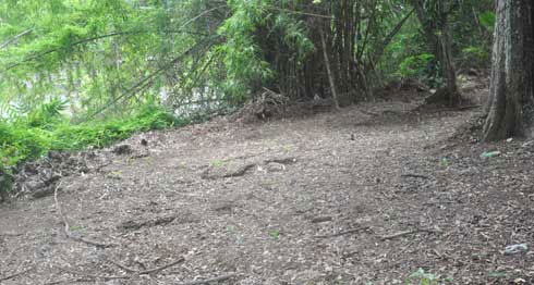 3,500-year-old toilets are disposal sites