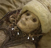 3600 year old cheese on ancient mummy