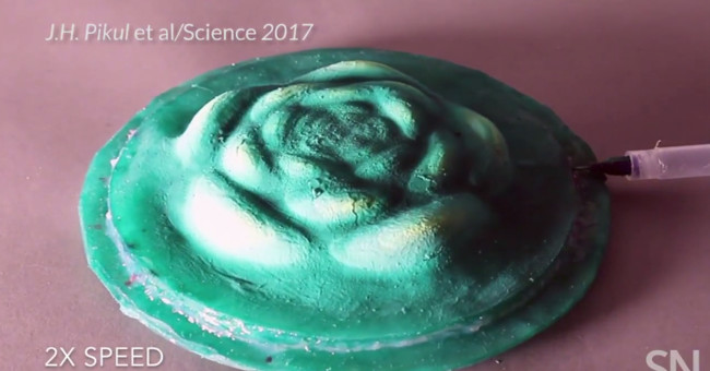 3D material changes shape octopus