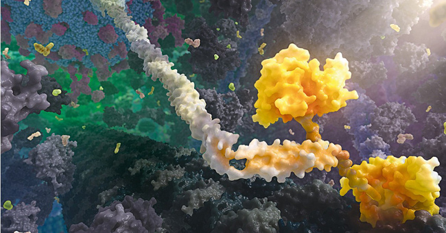 3D painting is brilliant inside the human body