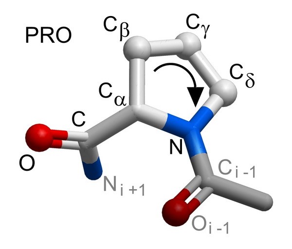 3D printers create protein chain models for cancer research