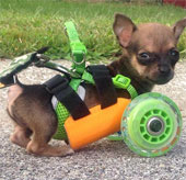 3D pushchair for disabled two legs