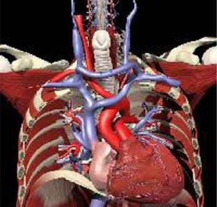 3D technology helps locate pain