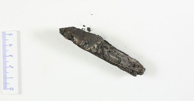 3D technology supports reading content of charred Bible copy