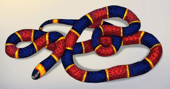 4 folk tips that make snakes will not dare to get close to your home