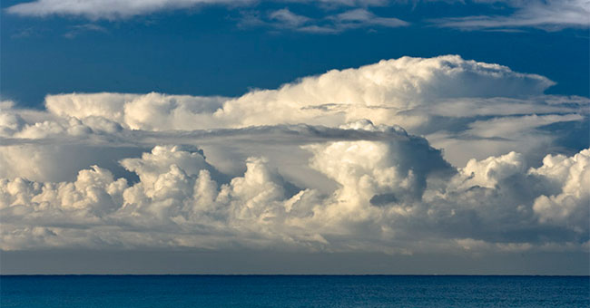 4 plans to rescue the Earth but become more destructive