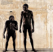4 questions about new human relatives