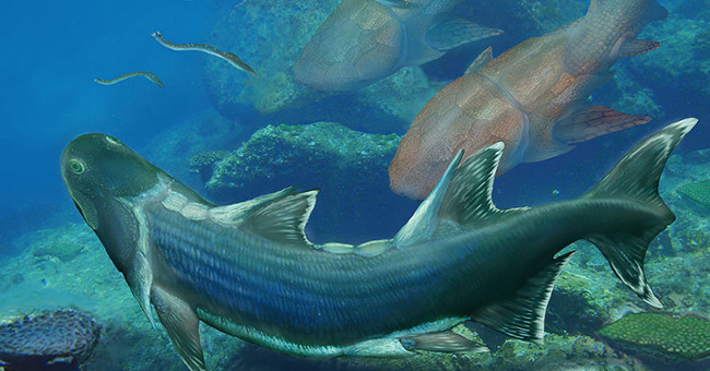 420 million-year-old armored fossil in China