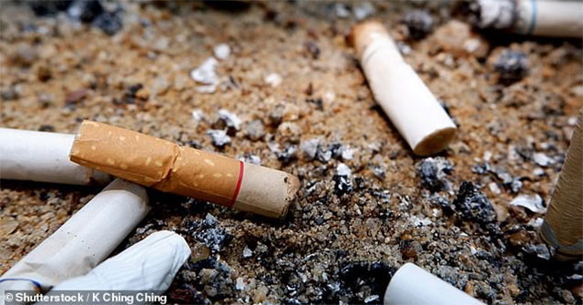 4.5 trillion cigarette filters per year are killing the world's plants