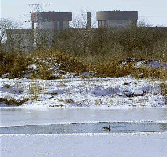 48 US nuclear power plants leak tritium