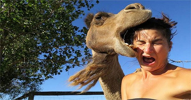 5 animals will make you miserable if you are bitten by the monstrous
