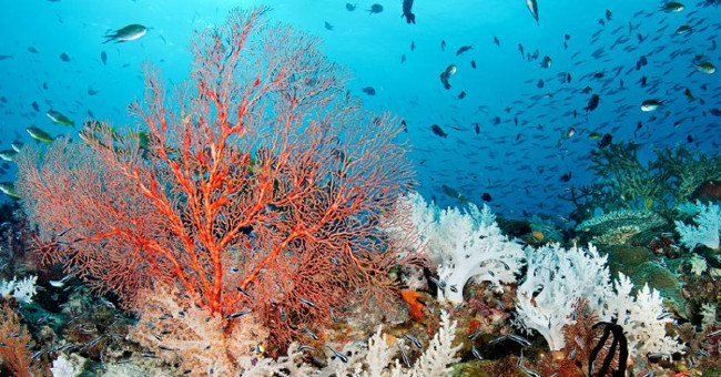 5 facts proving that the ocean is moving in a way that people cannot understand