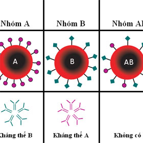 5 health things related to your blood type