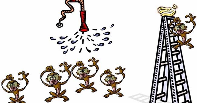 5 monkeys, 1 banana banquet and story