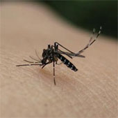 5 reasons you get mosquito bites more than others