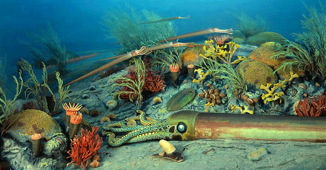 5 terrifying Extinction in Earth's history