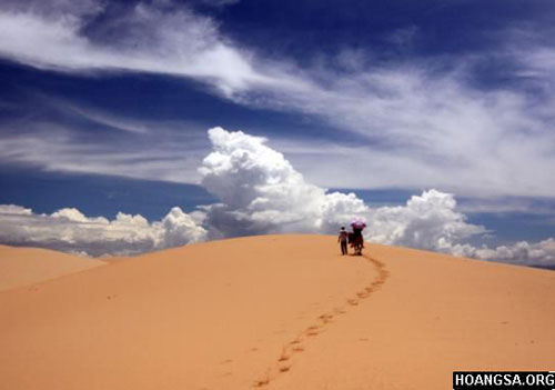 5 threats to coastal sand dunes