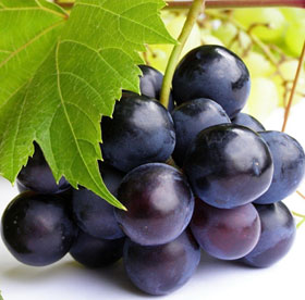 5 types of fruits have amazing effects on health