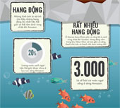 50 facts about rainforests