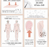 50 facts about skin
