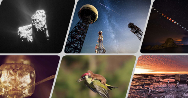50 outstanding science and technology images in 2015 (Part I)