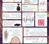 50 The incredible truth about hair