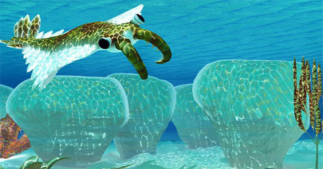 500 million years ago, 'who' has caused global warming?