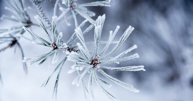 6 beautiful natural phenomena only in winter