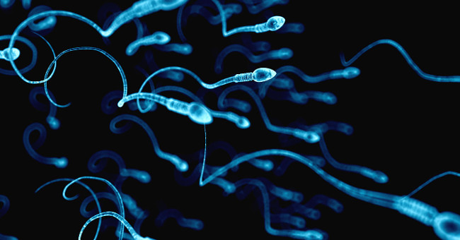 6 characteristics of men with good sperm, easy to give birth