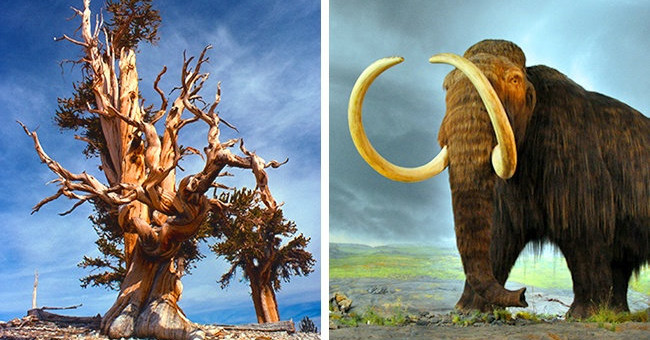6 historical facts make you lose completely the concept of time