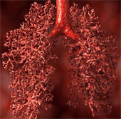 6 interesting things about the lungs not everyone knows