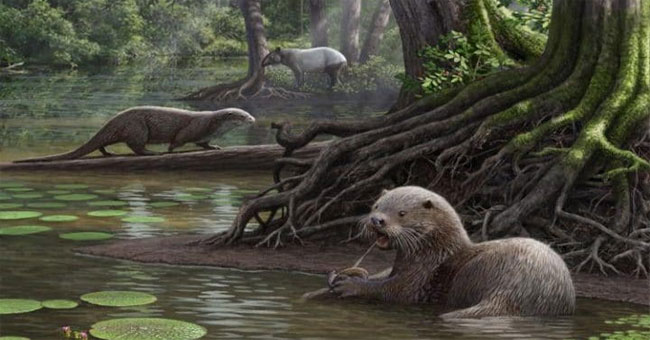 6 million years ago, this giant otter appeared on Earth