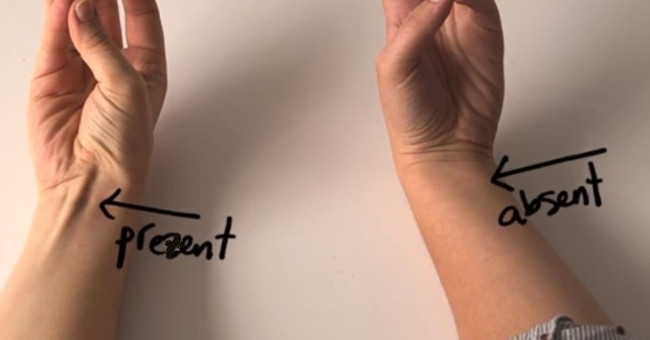 6 special things that 80% of people around the world want are also impossible