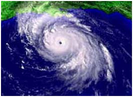 6 storms affected Vietnam this year