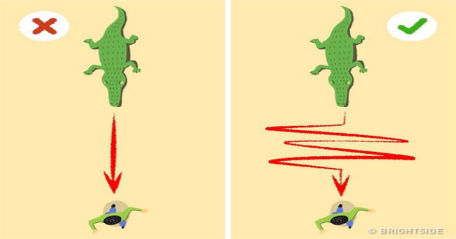 6 survival secrets can save your life every time a thousand pounds of hair hanging