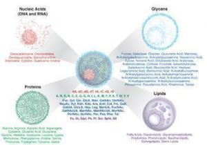 68 molecules key to understanding critical disease