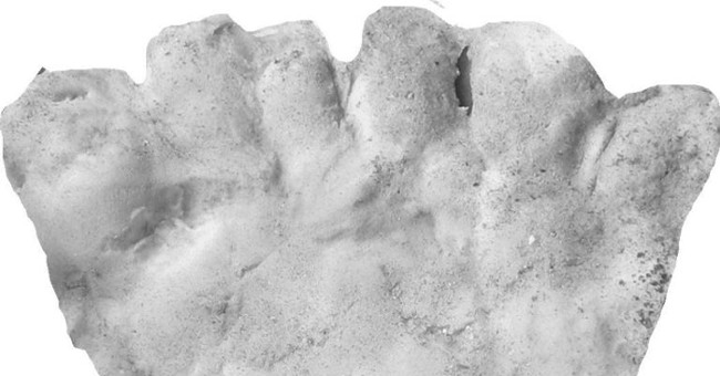 6-fingered limbs are 'fashion' in ancient America