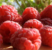7 fiber-rich vegetables you should know