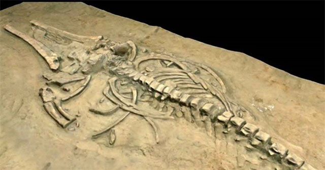 7 historical mysteries seem to be impossible to solve forever, finally have the answer