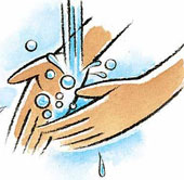 7 important principles in body hygiene
