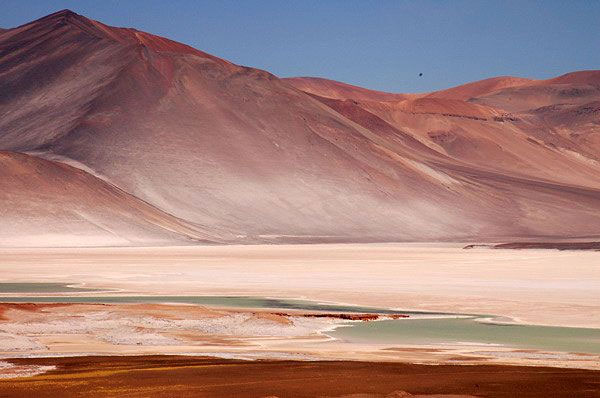 7 'Mars' lands on Earth
