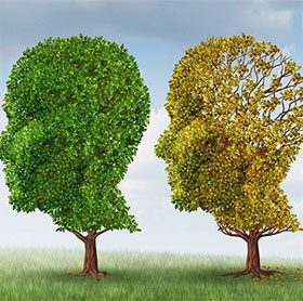 7 memorization skills that help you have intelligence