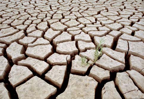 7 Popular Science's scientific forecasts in 2007
