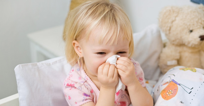 7 principles of prevention of disease in Tet season