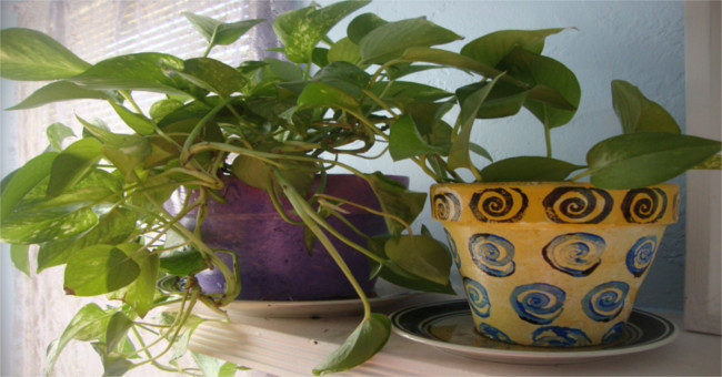 7 simple ways to reduce air pollution in your home